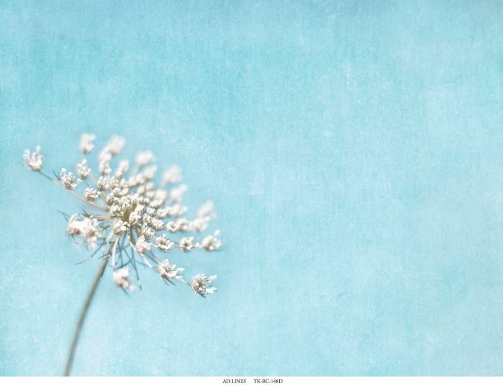 Lace Texture art print by Tracey Telik for $57.95 CAD