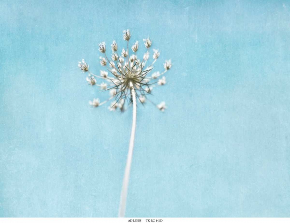 Lacey Texture 2 art print by Tracey Telik for $57.95 CAD