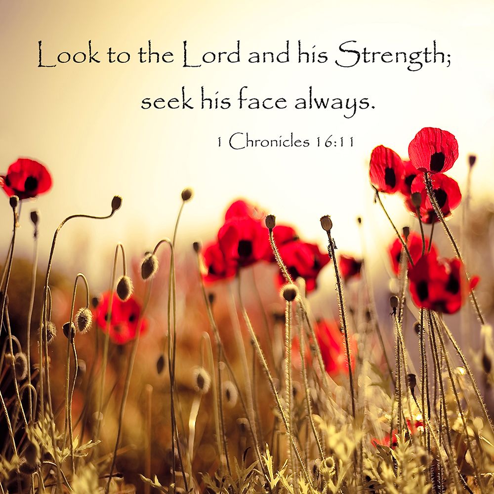 Look To The Lord art print by Tracey Telik for $57.95 CAD