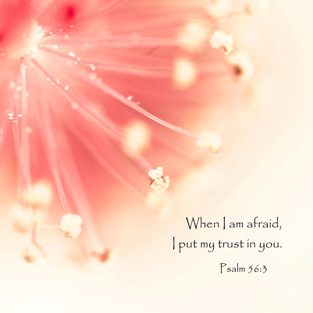 When I Am Afraid art print by Tracey Telik for $57.95 CAD