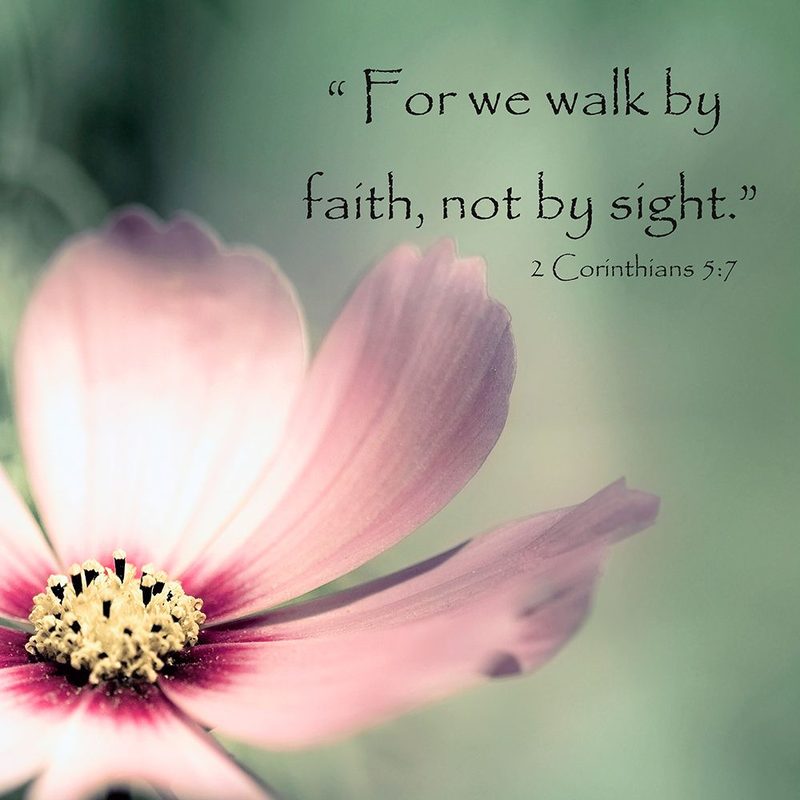 Pink Cosmo Walk In Faith art print by Tracey Telik for $57.95 CAD