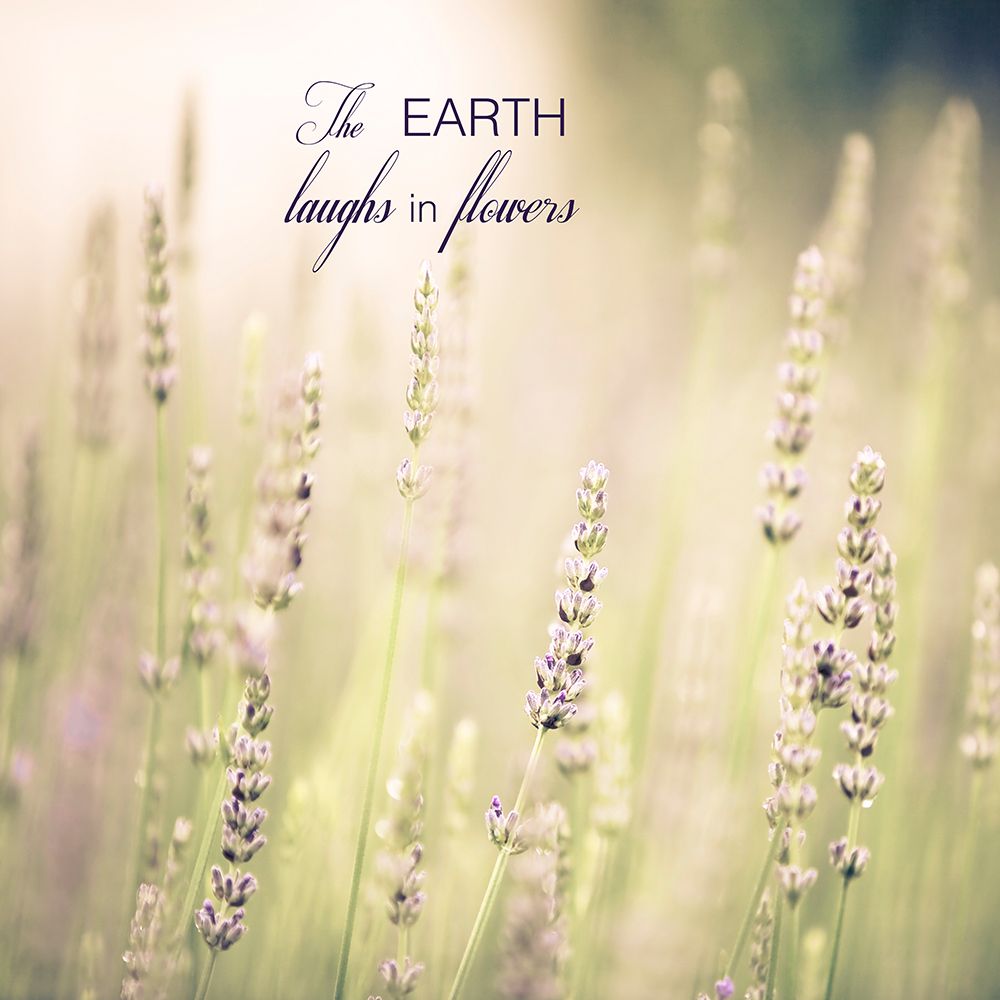 Lavender Fields Quote art print by Tracey Telik for $57.95 CAD