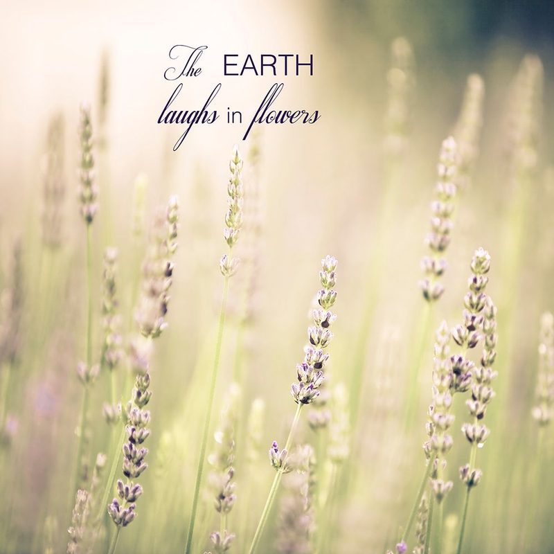 Lavender Fields Quote art print by Tracey Telik for $57.95 CAD