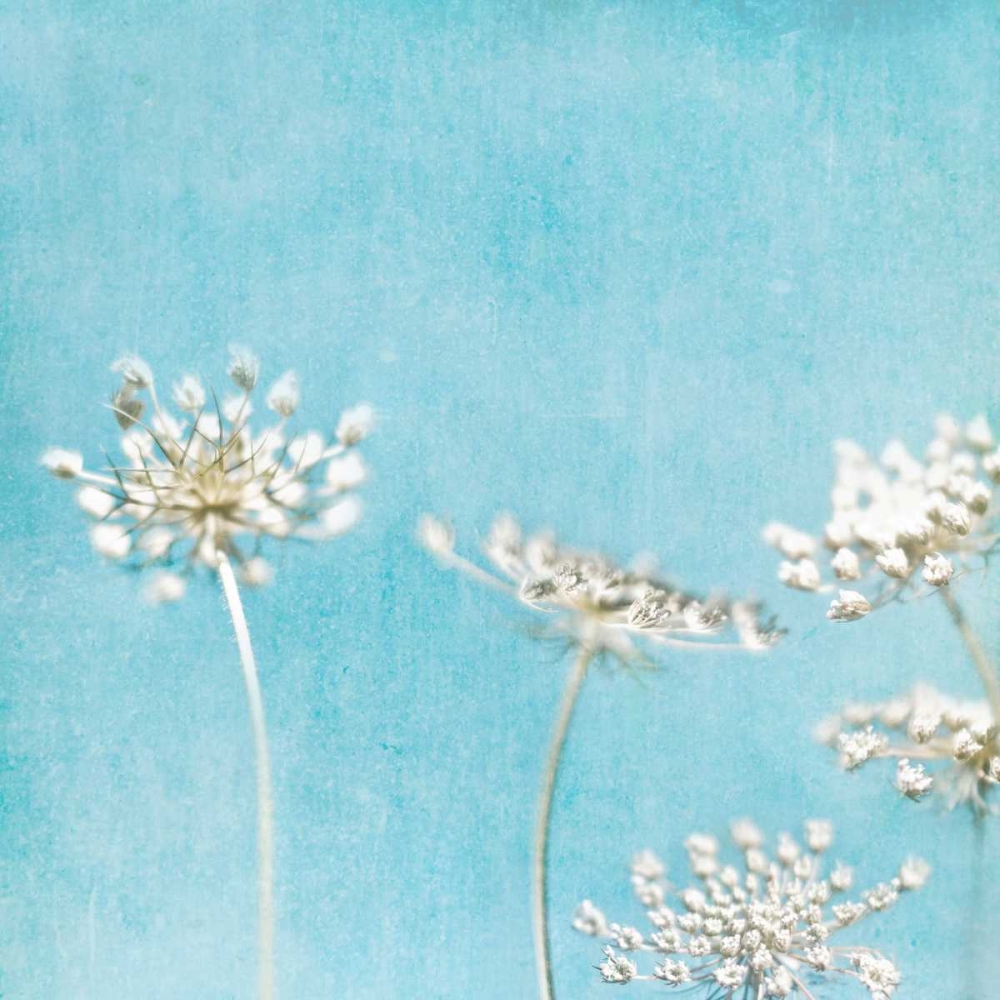 Queens Texture 40 art print by Tracey Telik for $57.95 CAD