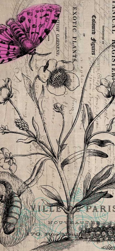 Botanical 9 art print by Elizabeth Jordan for $57.95 CAD