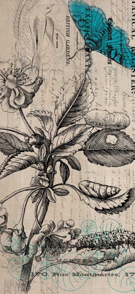 Botanical 10 art print by Elizabeth Jordan for $57.95 CAD