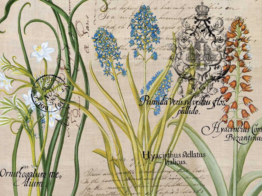 Flower Botanical art print by Elizabeth Jordan for $57.95 CAD