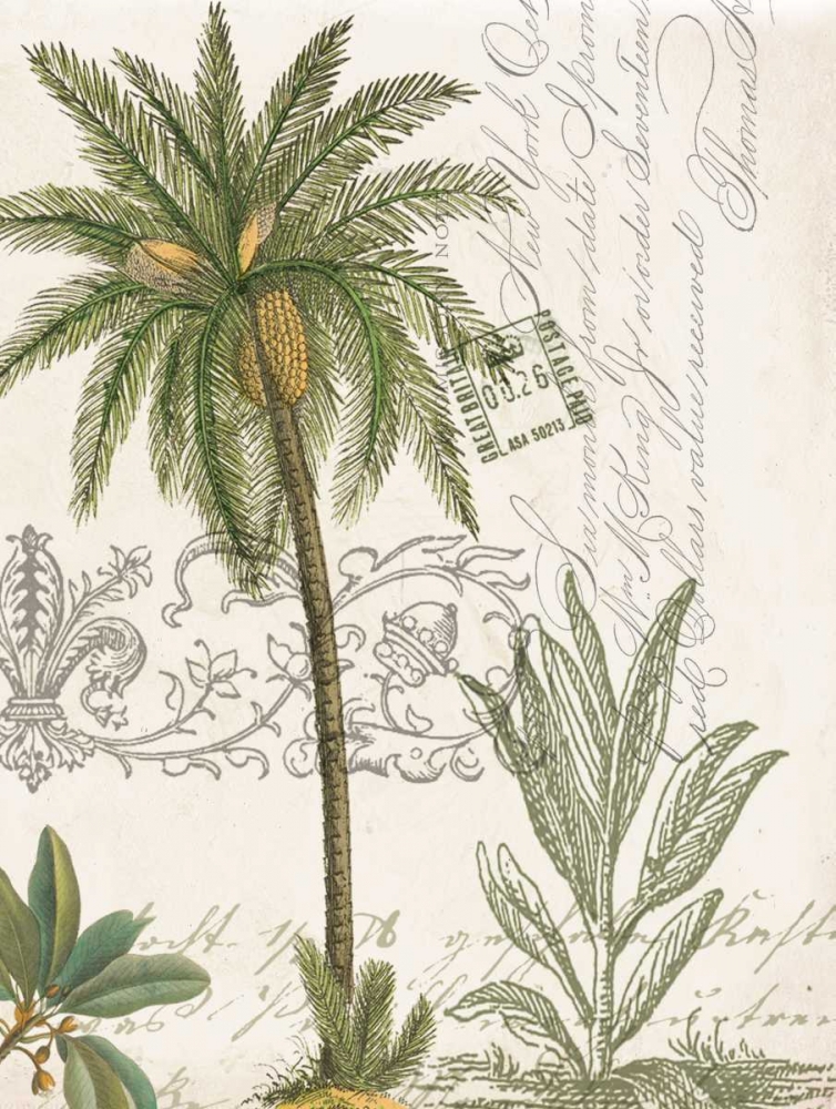 Palm Rectangle 1 art print by Elizabeth Jordan for $57.95 CAD