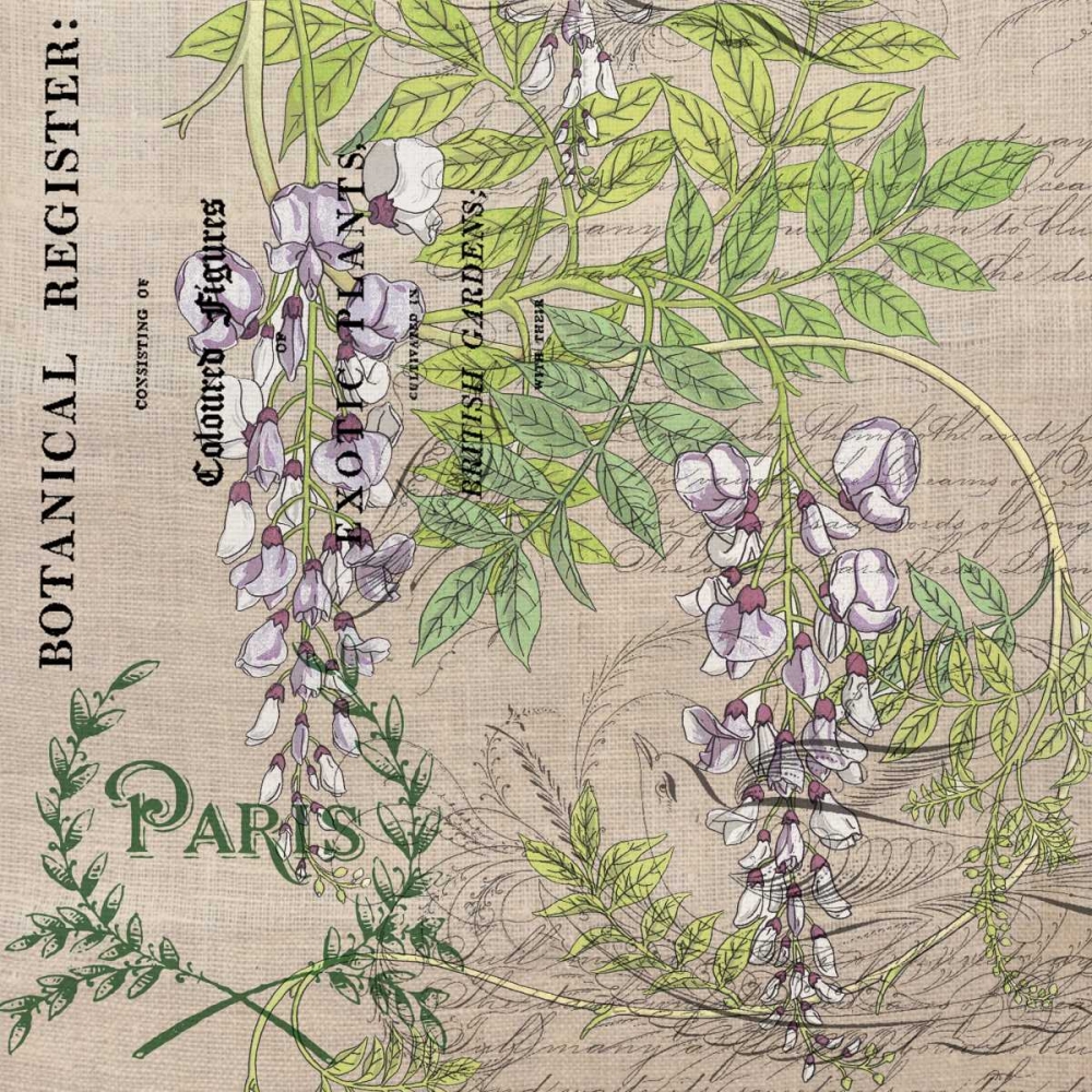 Botanical Register 3 art print by Elizabeth Jordan for $57.95 CAD