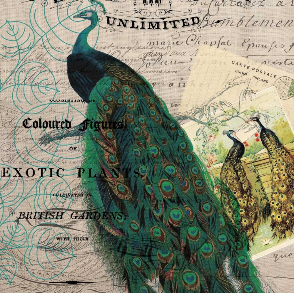 Bird Botanical 6 art print by Elizabeth Jordan for $57.95 CAD