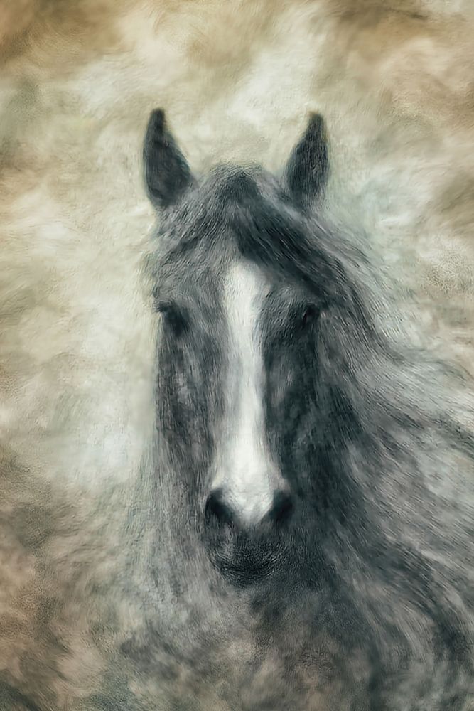 Leader Of Harmony 1 art print by Tim West for $57.95 CAD