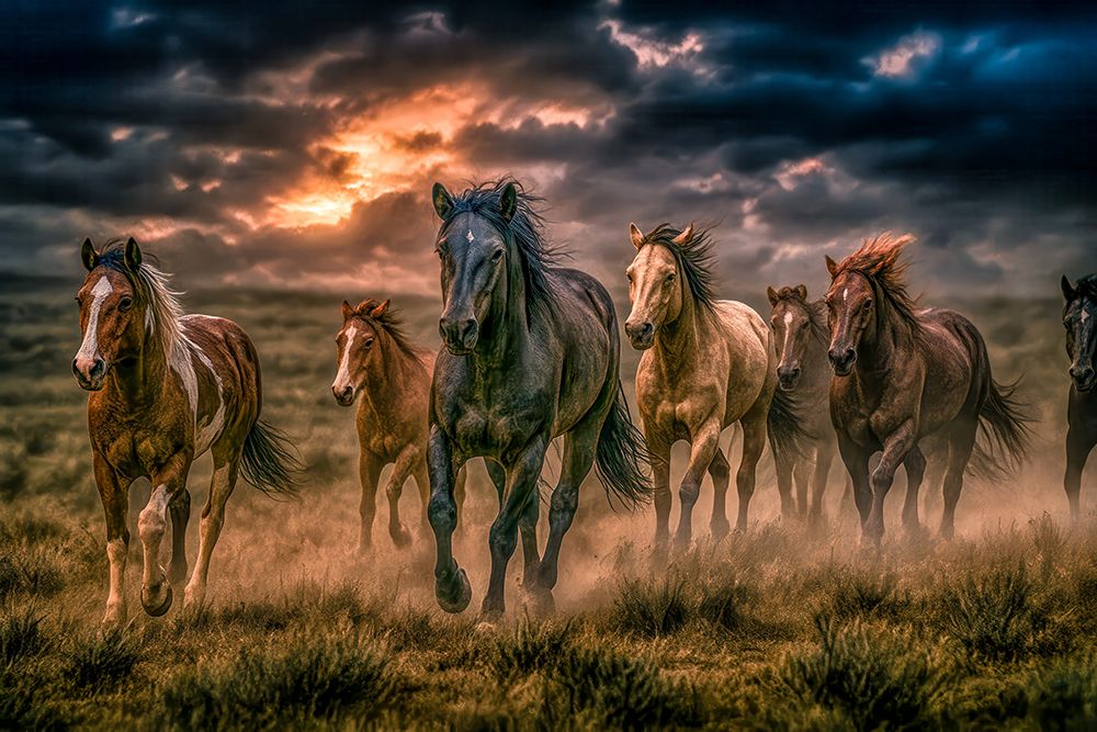 Juvenile Perseverance 4 art print by Tim West for $57.95 CAD