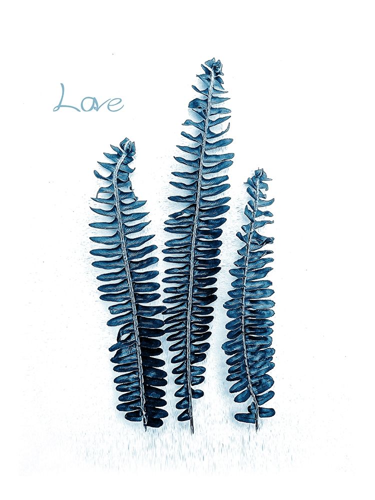 Fern Fronds Baltic Sea art print by Urban Epiphany for $57.95 CAD