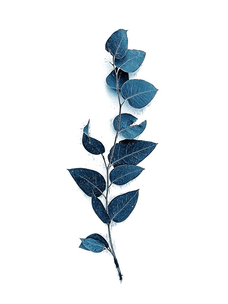 Tiny Branch Baltic Sea art print by Urban Epiphany for $57.95 CAD