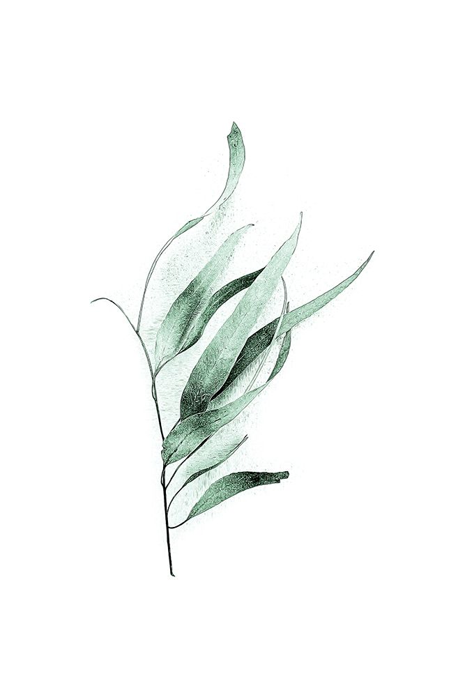 Tender Leaves 2 art print by Urban Epiphany for $57.95 CAD