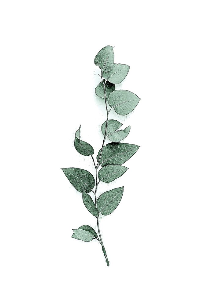 Tender Leaves 3 art print by Urban Epiphany for $57.95 CAD