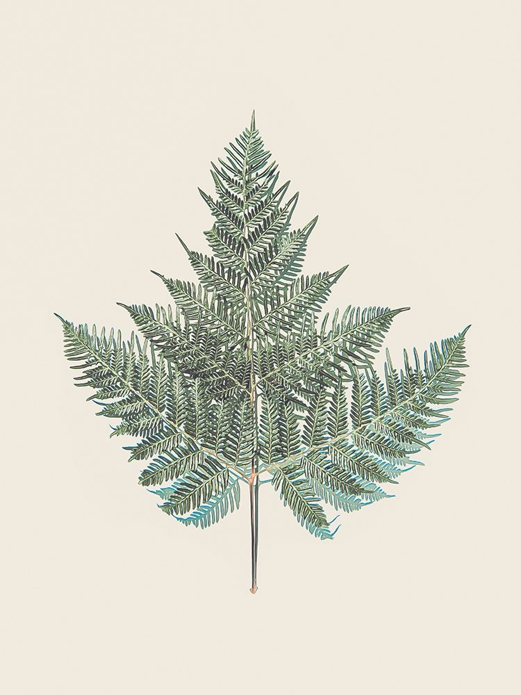 Tender Fern art print by Urban Epiphany for $57.95 CAD