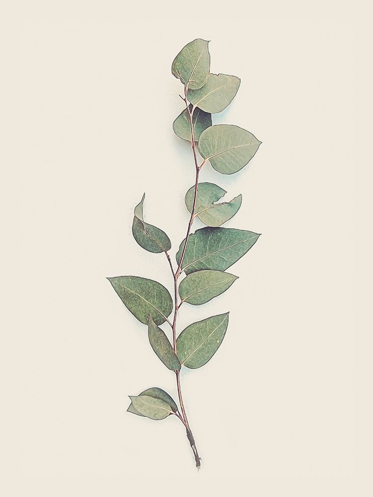 Tiny Branch art print by Urban Epiphany for $57.95 CAD