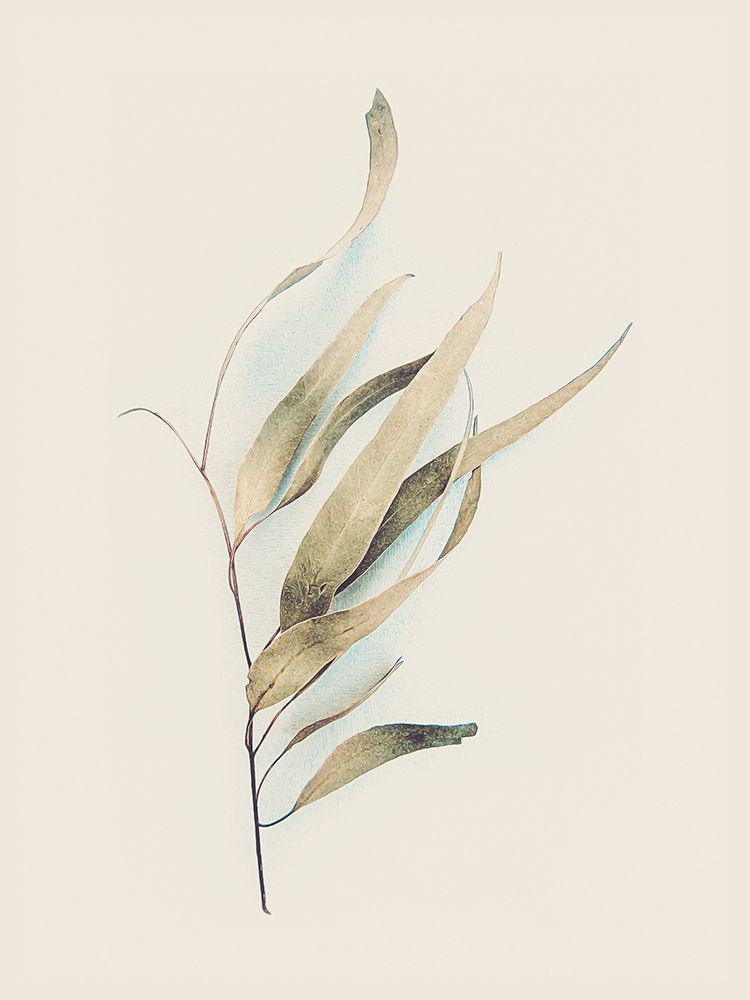 Gum Leaves art print by Urban Epiphany for $57.95 CAD