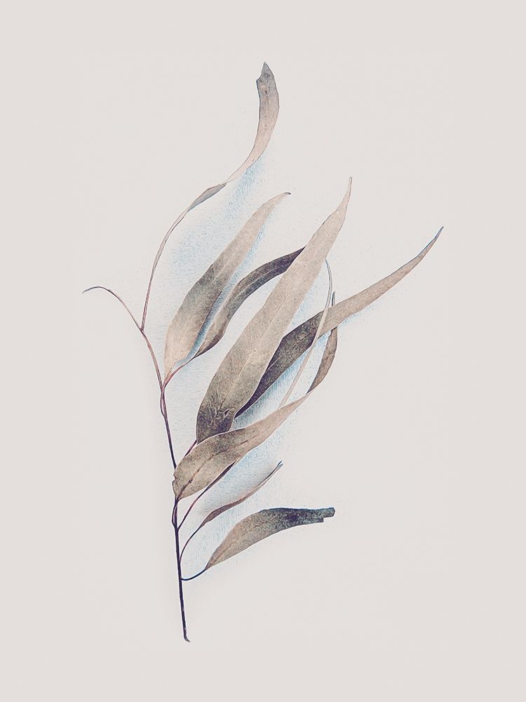 Gum Leaves art print by Urban Epiphany for $57.95 CAD