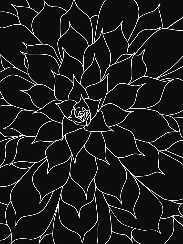 Black White Succulents Set of 2 art print by Urban Epiphany for $57.95 CAD