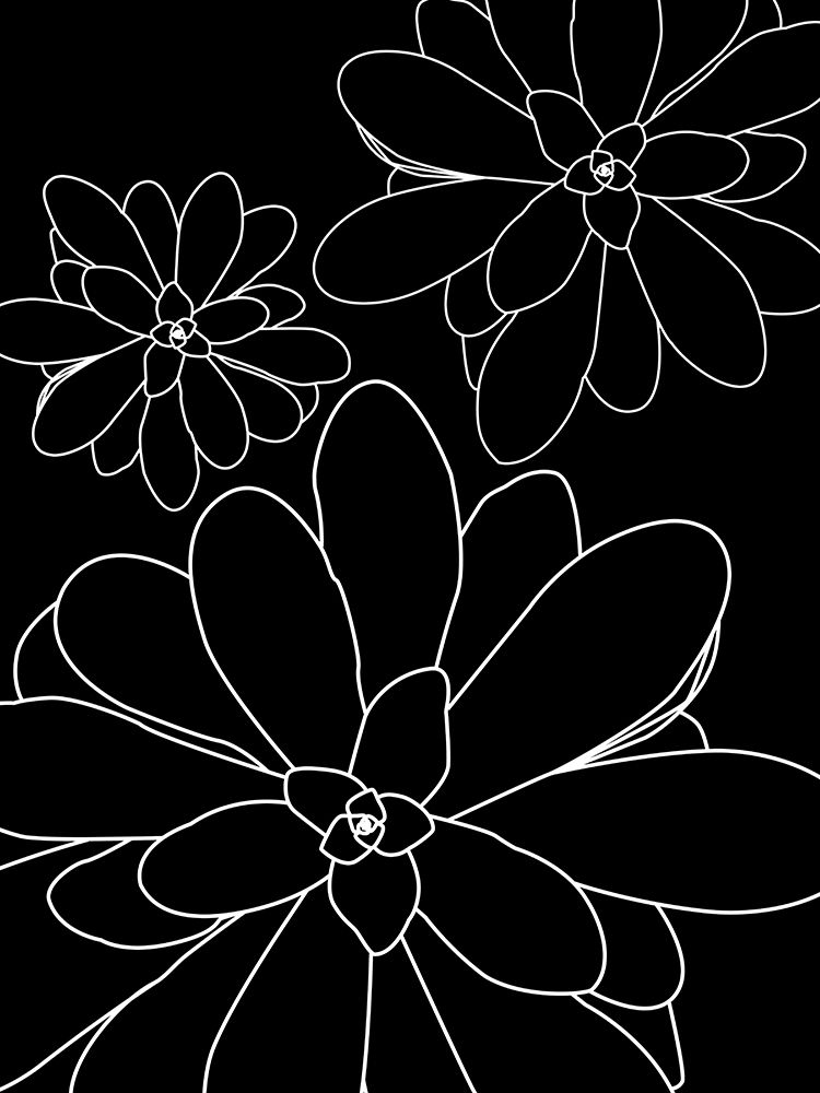 Black White Succulents Set of 2 art print by Urban Epiphany for $57.95 CAD