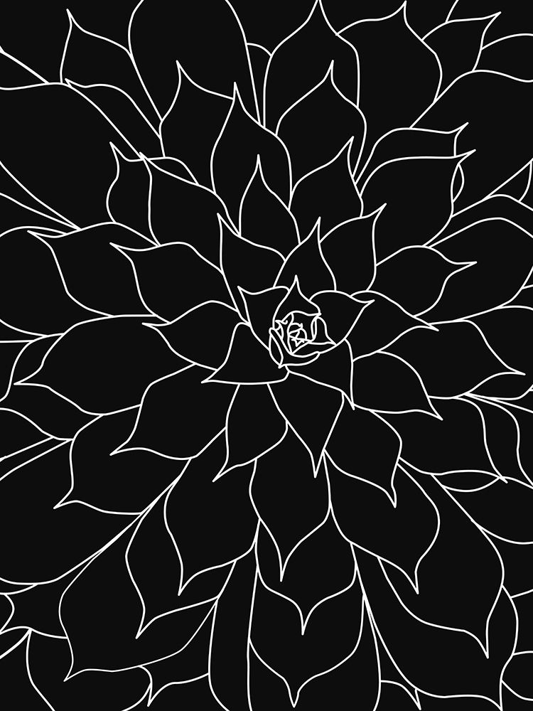 Black White Succulents Set of 2 art print by Urban Epiphany for $57.95 CAD