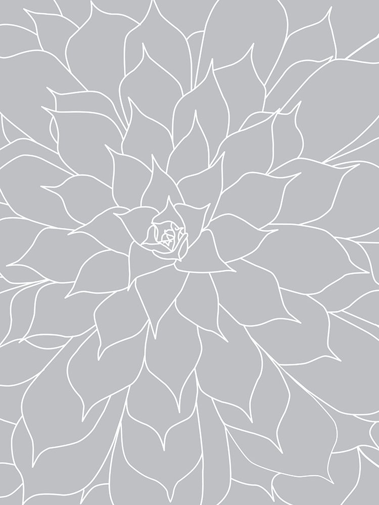 Black White Succulents Set of 2 art print by Urban Epiphany for $57.95 CAD