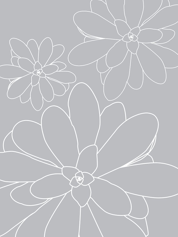 Black White Succulents Set of 2 art print by Urban Epiphany for $57.95 CAD