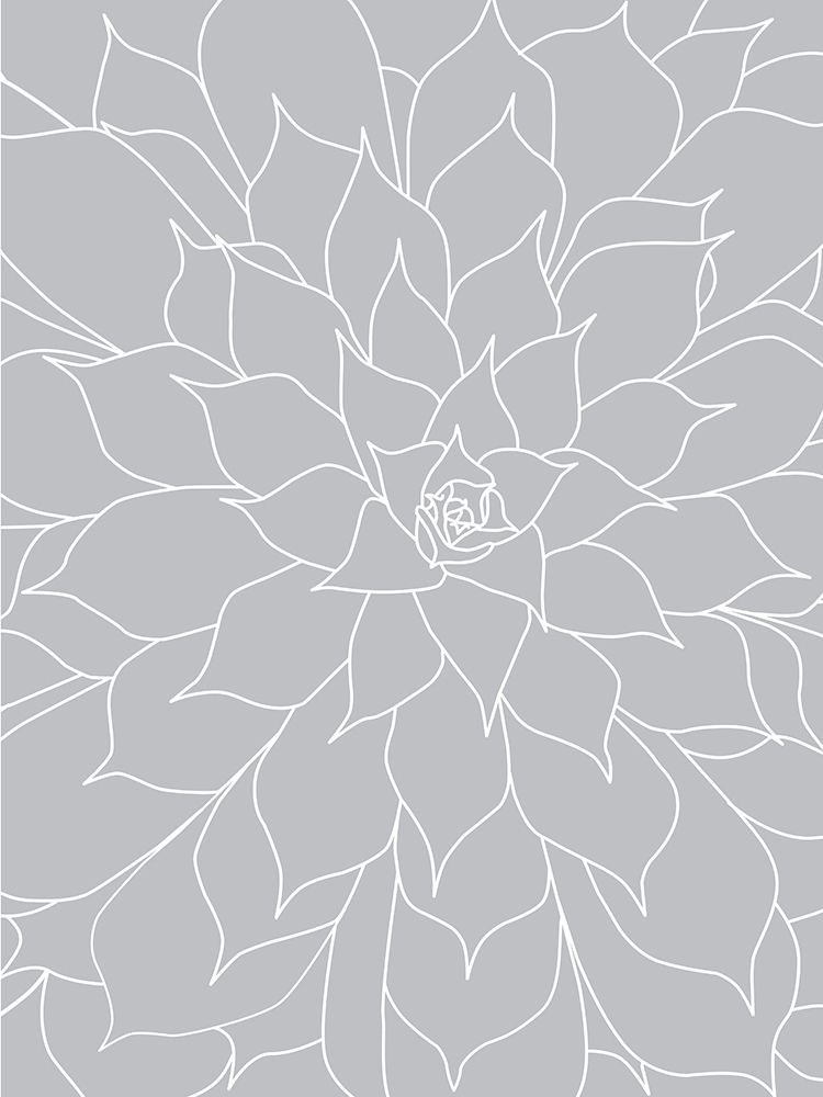 Black White Succulents Set of 2 art print by Urban Epiphany for $57.95 CAD