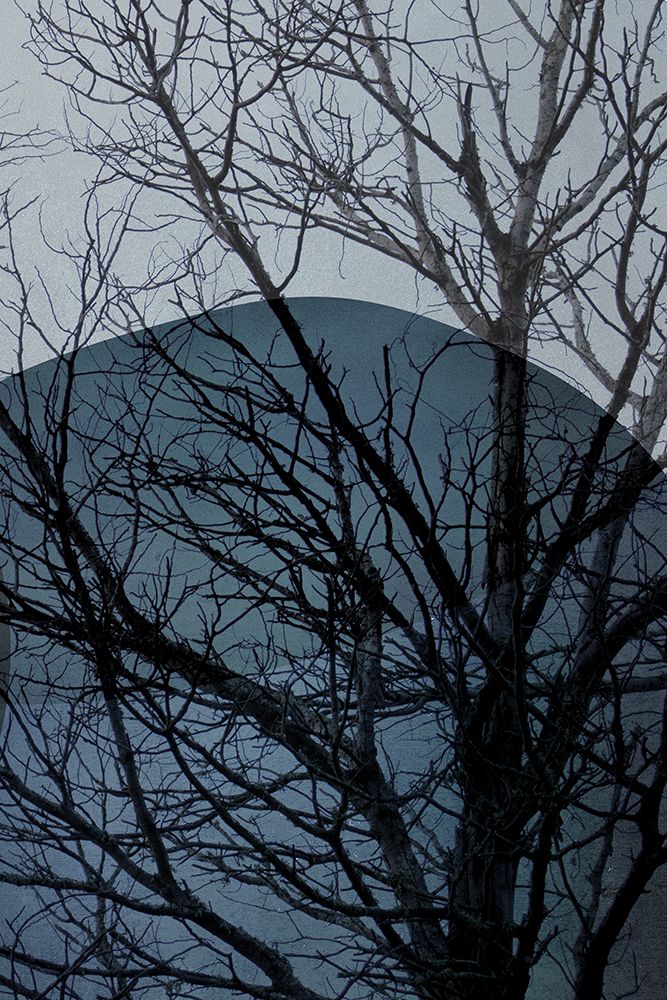Blue Tree 2 art print by Urban Epiphany for $57.95 CAD