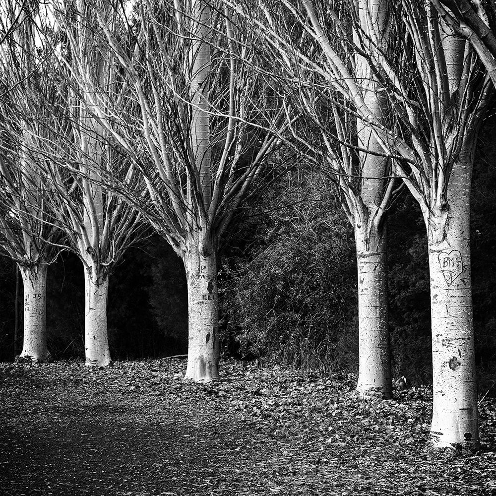 Winter Avenue Square art print by Urban Epiphany for $57.95 CAD