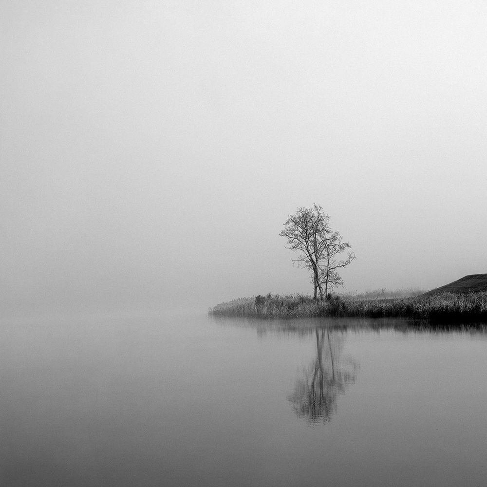 Winter Mist Square art print by Urban Epiphany for $57.95 CAD