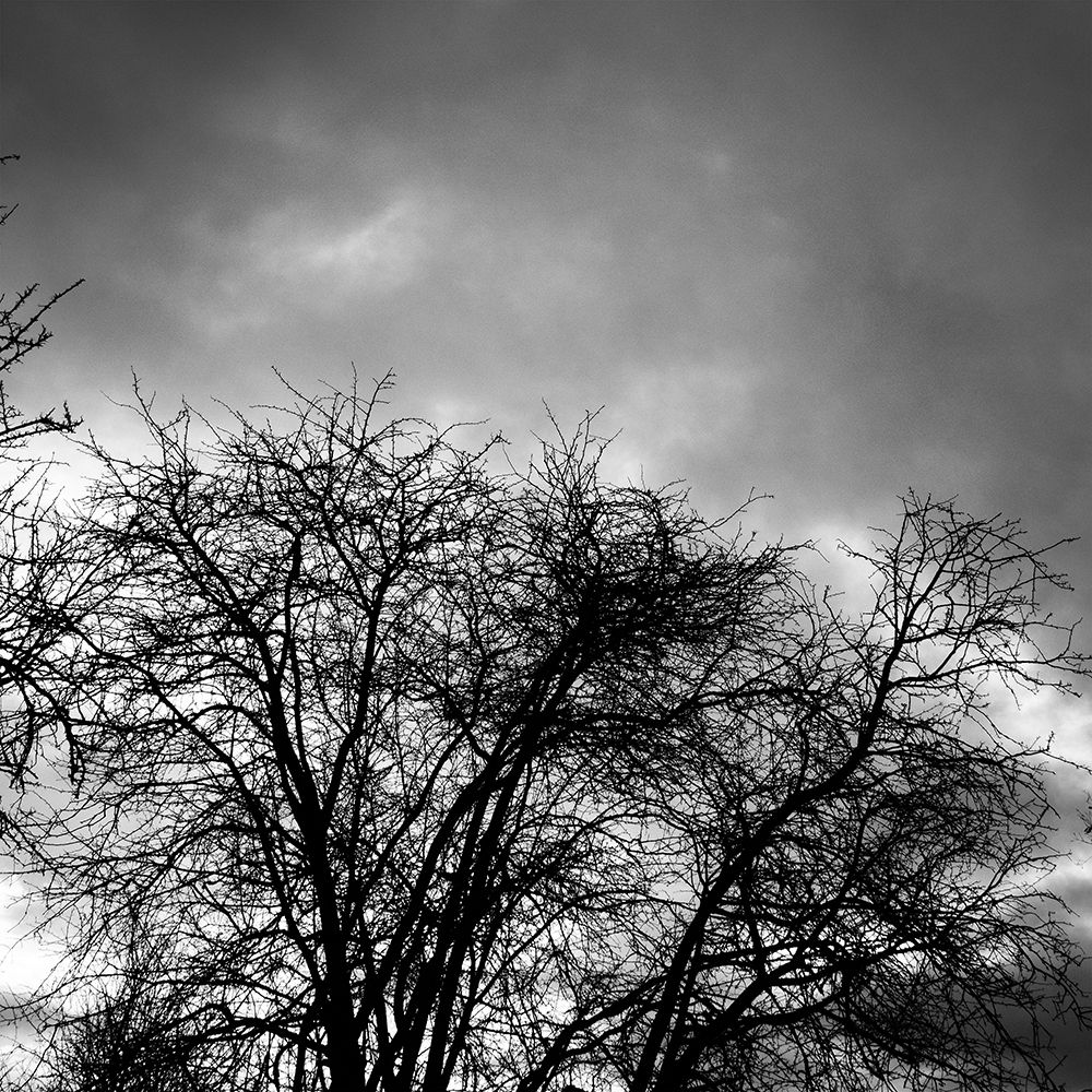 Winter Sky Square art print by Urban Epiphany for $57.95 CAD