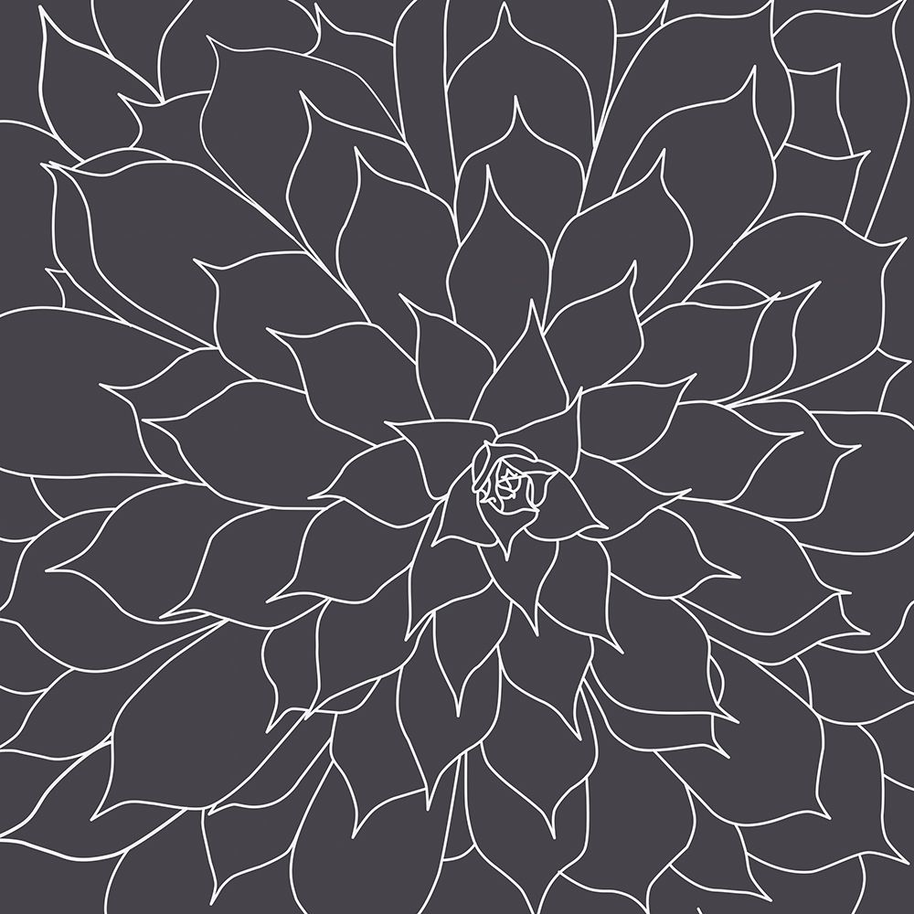 Black And Grey Succulents 1 art print by Urban Epiphany for $57.95 CAD