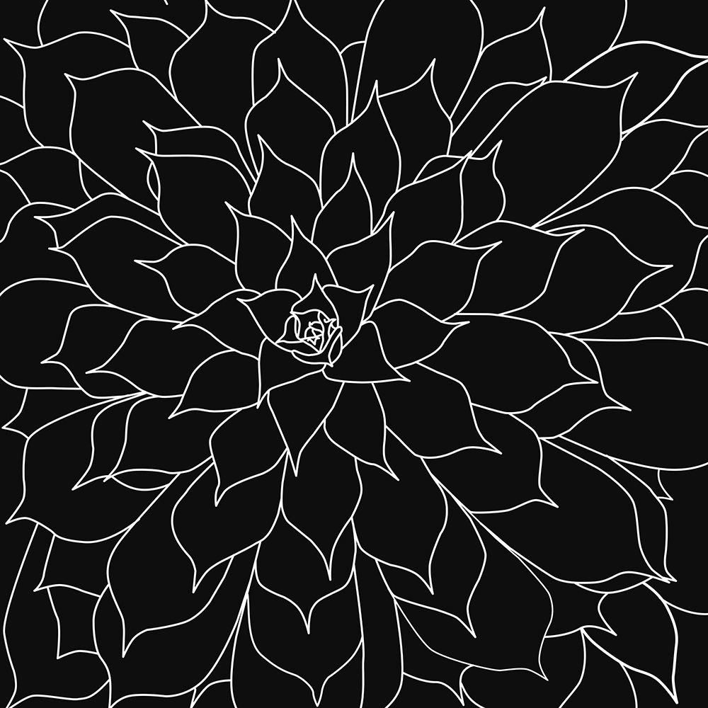 Black And Grey Succulents 2 art print by Urban Epiphany for $57.95 CAD