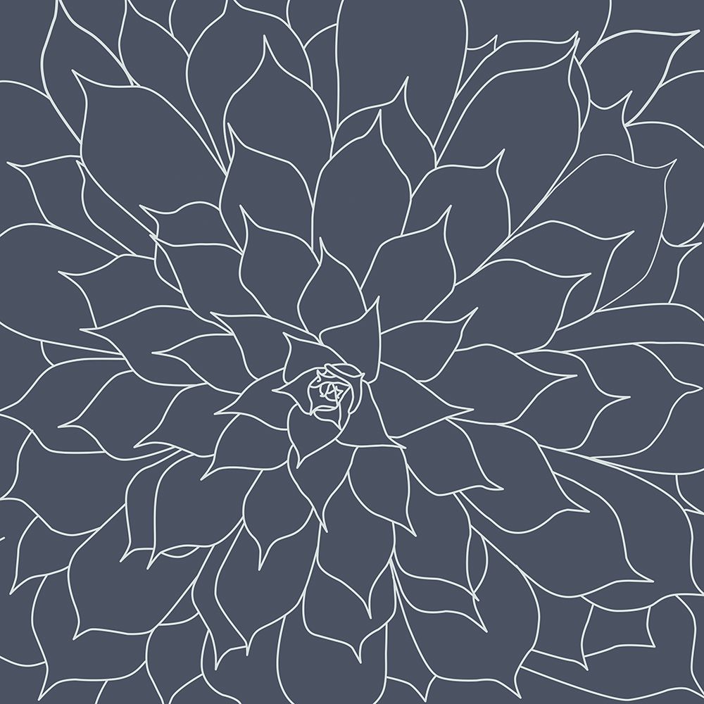 Black And Grey Succulents 3 art print by Urban Epiphany for $57.95 CAD