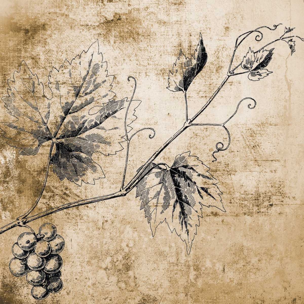 Grape Vine art print by Victoria Brown for $57.95 CAD