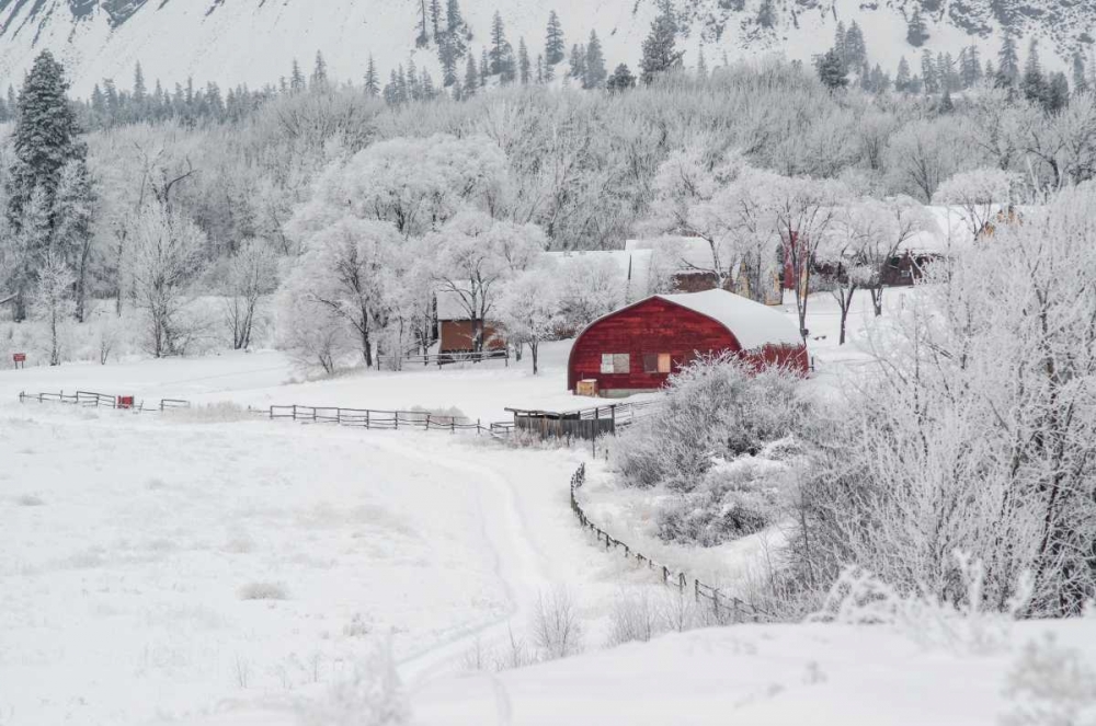 Farm In The Snow art print by Victoria Brown for $57.95 CAD