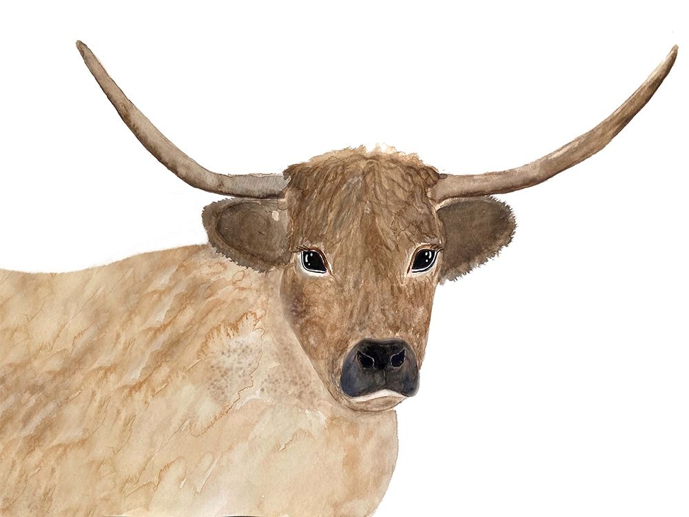 Steer Head 1 art print by Karen Barski for $57.95 CAD