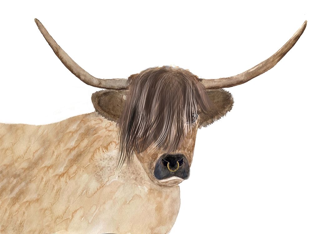 Steer Head Fashion art print by Karen Barski for $57.95 CAD