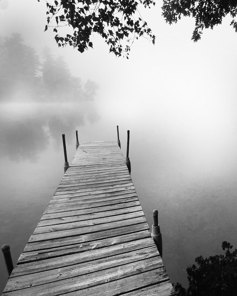 Foggy Dock BW 1 art print by Suzanne Foschino for $57.95 CAD