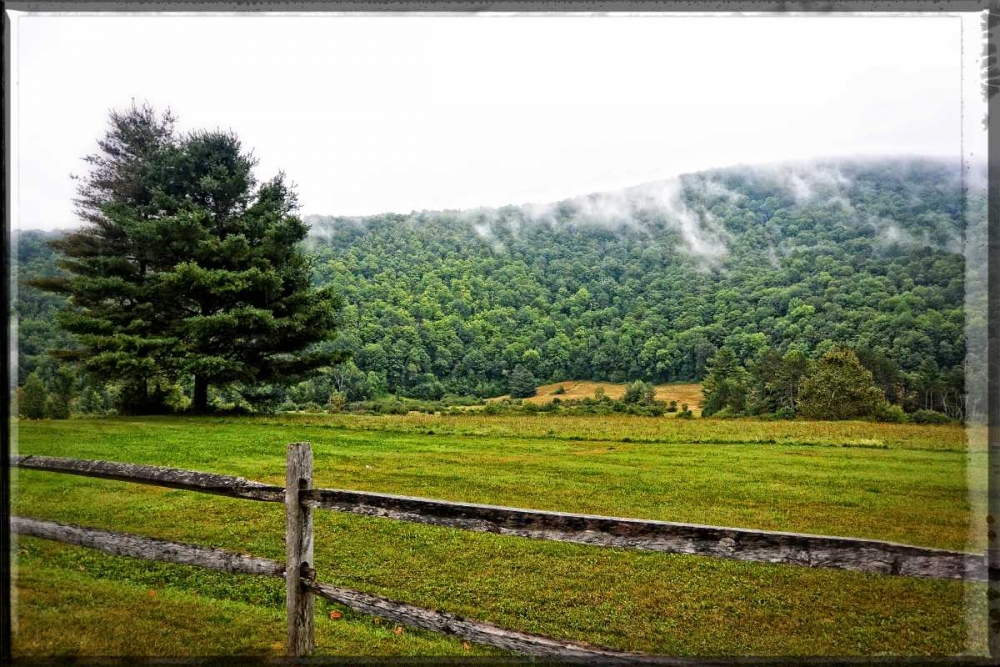 Morning Mountain Smoke art print by Suzanne Foschino for $57.95 CAD
