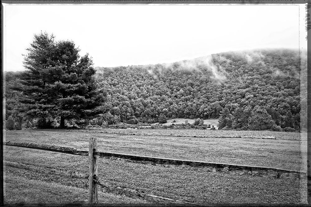 Morning Mountain Fog art print by Suzanne Foschino for $57.95 CAD