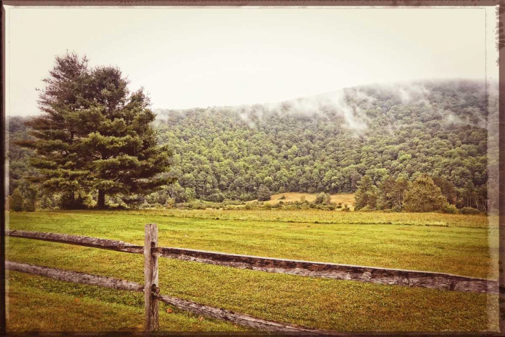 Morning Mountain Smoke Vintage art print by Suzanne Foschino for $57.95 CAD