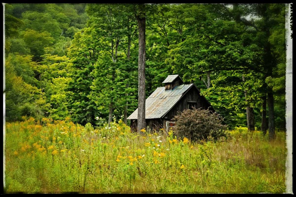 Country Barn 1 art print by Suzanne Foschino for $57.95 CAD