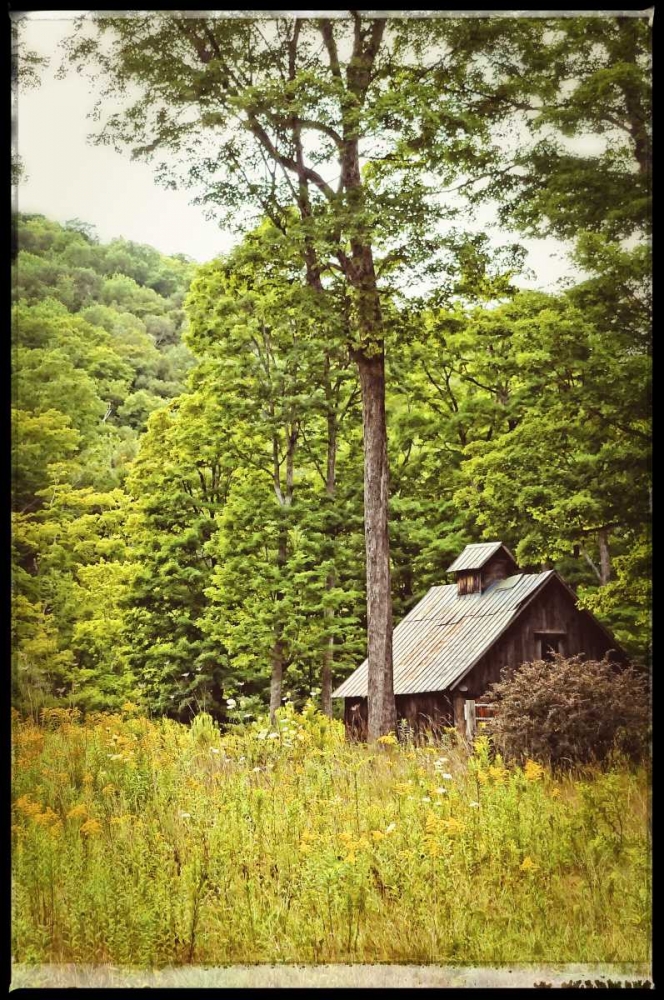 Country Barn 2 Vintage Border art print by Suzanne Foschino for $57.95 CAD