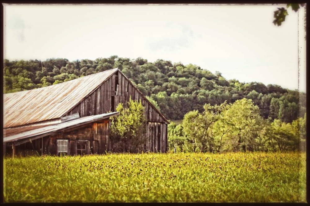 Country Barn 4 Vintage art print by Suzanne Foschino for $57.95 CAD