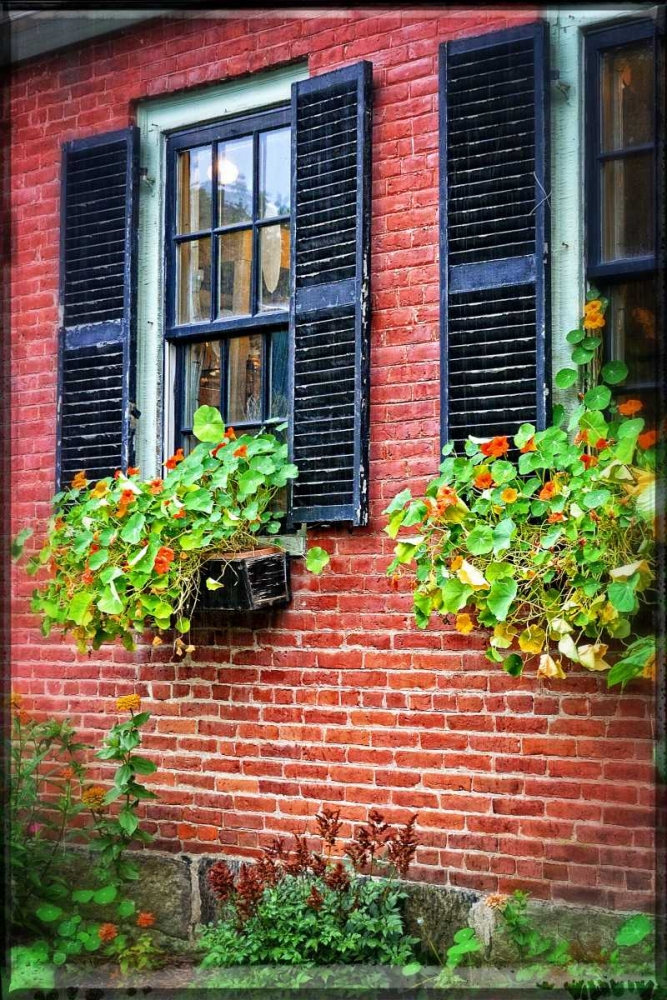 Country Store Window Flowers art print by Suzanne Foschino for $57.95 CAD