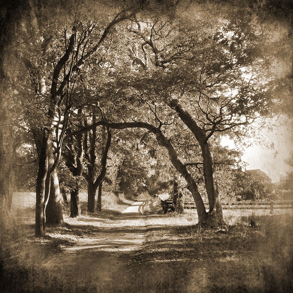Dirt Road art print by Suzanne Foschino for $57.95 CAD